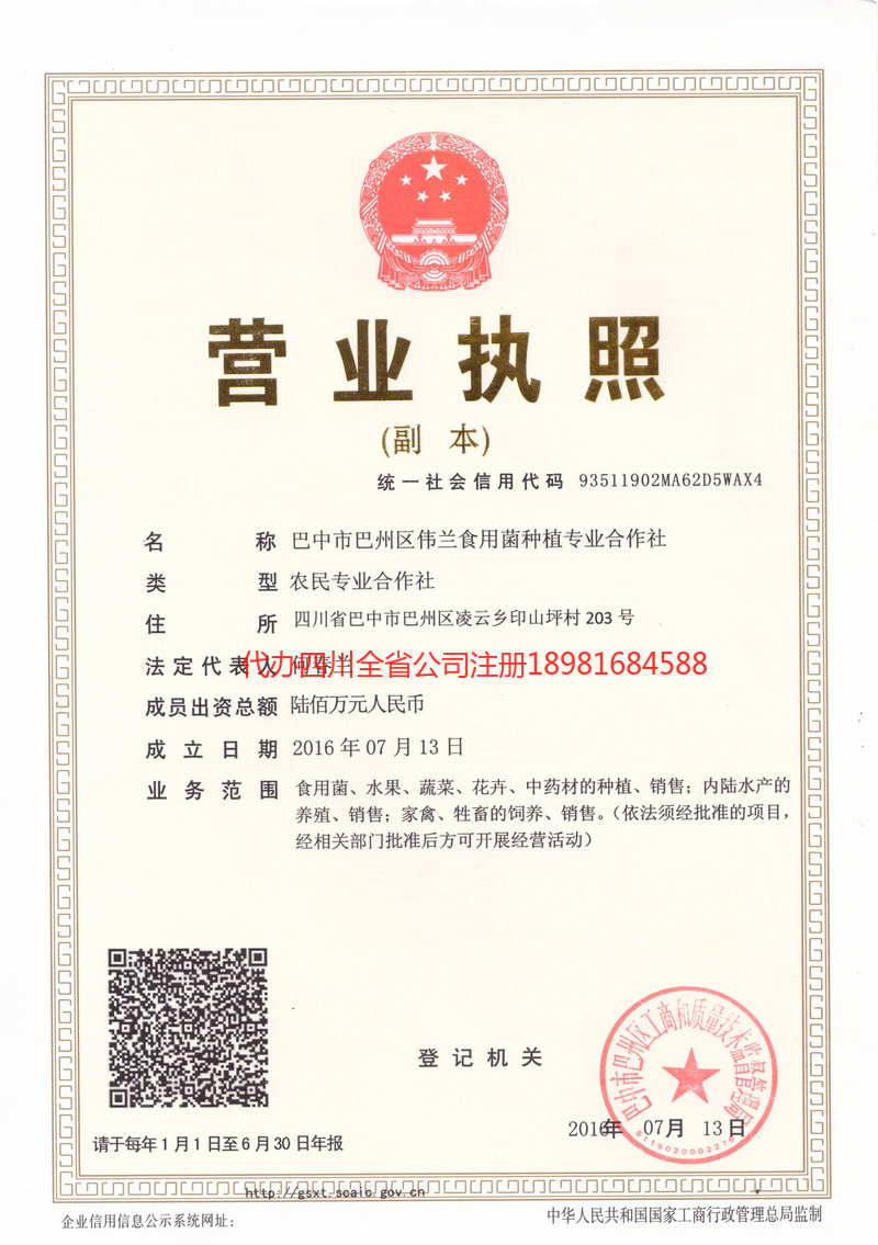 个旧个旧伟兰食用菌种植专业合作社